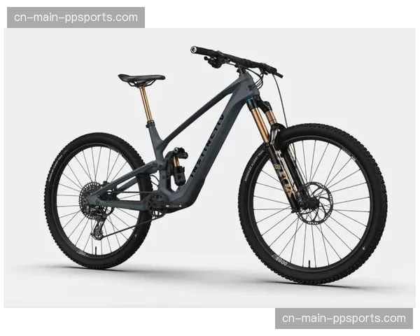 主要自行车品牌发布2026年第一季度财报，BMX车型青少年市场销量增长显著。